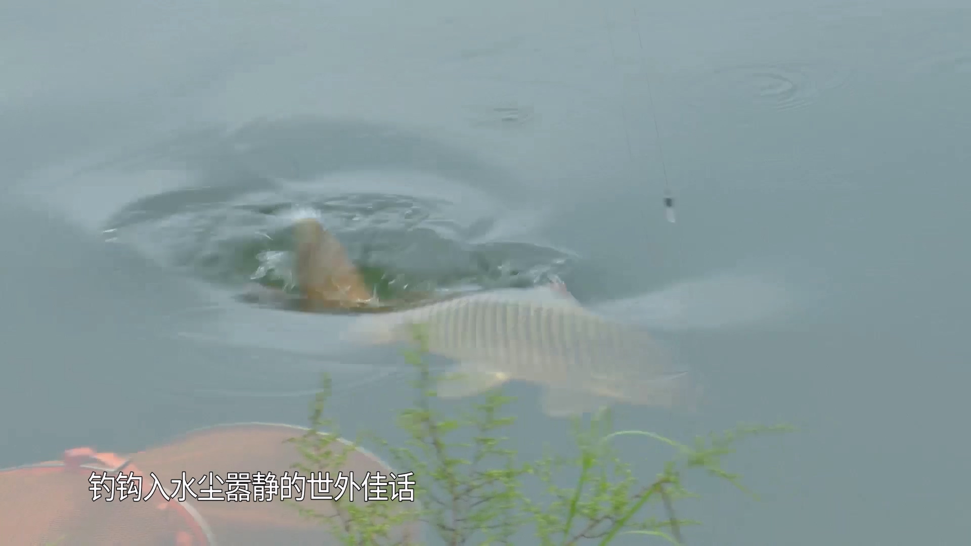 《钩尖上的美食》纪录片 (4).jpg